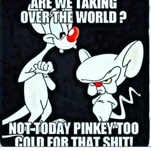 Meet your Posher, Laverne